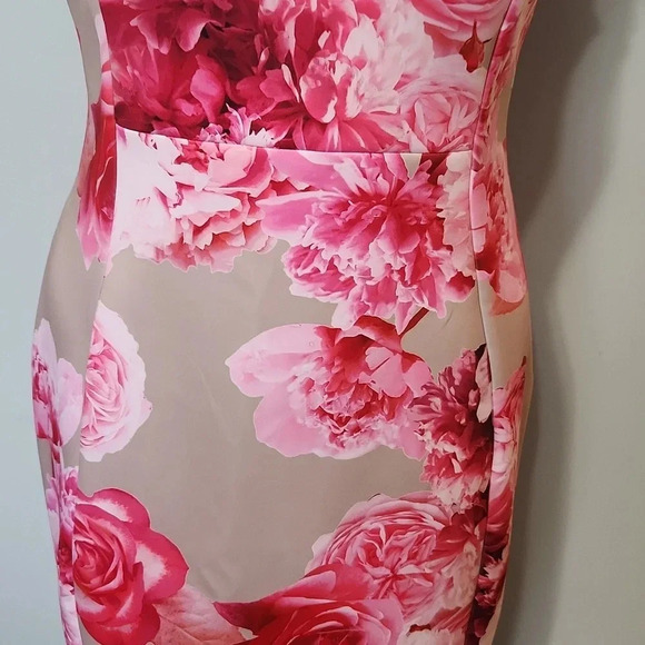 Calvin Klein Tan & Pink Floral Dress - Picture 4 of 14